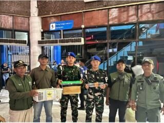 Tim Gabungan Gagalkan Penyelundupan 8 Satwa Dilindungi di KM Gunung Dempo